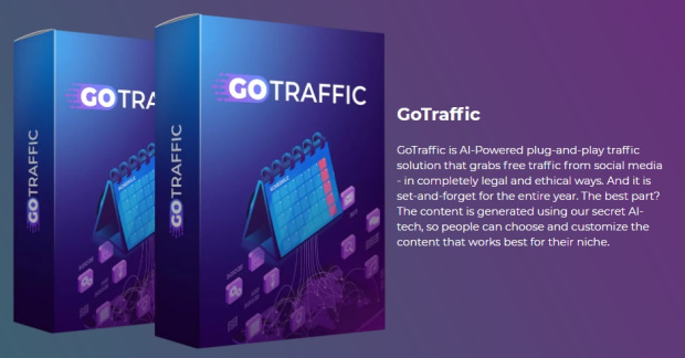 GoTraffic Commercial by Neil Napier